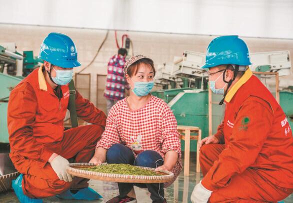 國家電網浙江電力紅船共產黨員服務隊:守護光明 他們在行動