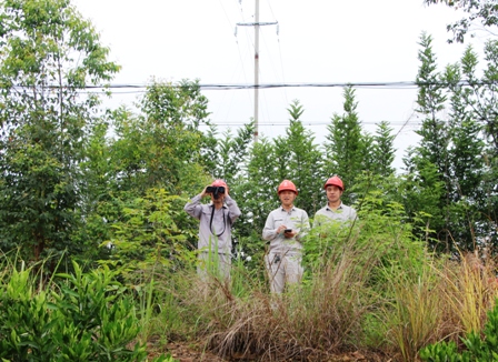 國網(wǎng)江永縣供電公司:負(fù)責(zé)人帶隊(duì)巡線，精施策護(hù)網(wǎng)保電