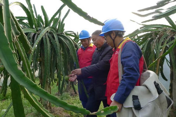 國網(wǎng)寧海縣供電公司：“電力紅馬甲”護航，退役軍人鄉(xiāng)村創(chuàng)業(yè)“紅如火”