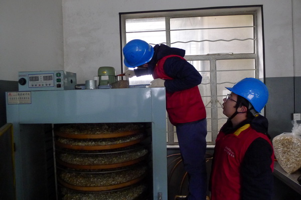 國網(wǎng)寧?？h供電公司：電力紅馬甲服務鄉(xiāng)村企業(yè) ，讓黃精變“黃金”