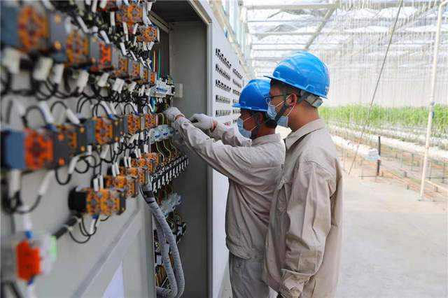 國網海安市供電公司:老區(qū)電氣化 農業(yè)有奔頭