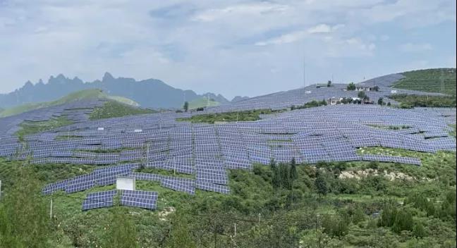 少長一棵草，多發(fā)一度電，助力碳中和