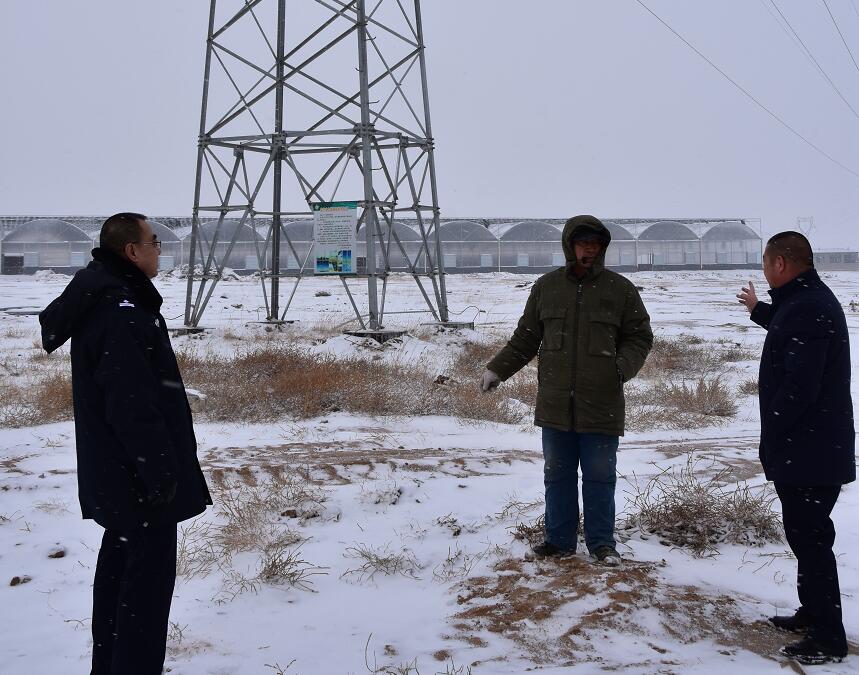 二連浩特供電公司：開展客戶側(cè)安全檢查，確?？诎犊蛻粝楹兔髁吝^春節(jié)