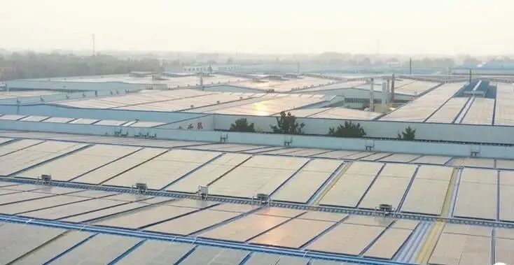 投資達9億！山東寒亭區(qū)447MW整縣分布式光伏項目正式啟動