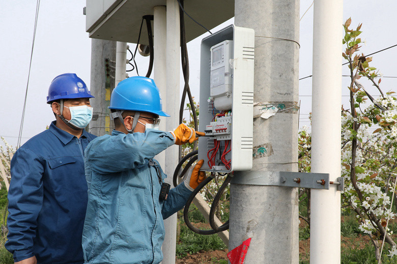 國網諸城市供電公司電力足，千畝梨園花正濃