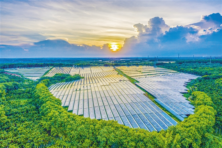海南電網(wǎng)公司加快構(gòu)建現(xiàn)代供電服務(wù)體系，驅(qū)動(dòng)鄉(xiāng)村振興電力引擎