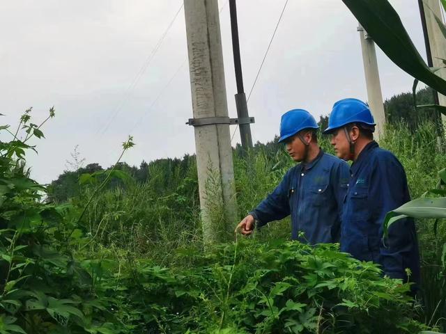 國網(wǎng)長春供電公司積極應(yīng)對極端天氣，確保線路設(shè)備穩(wěn)定運行