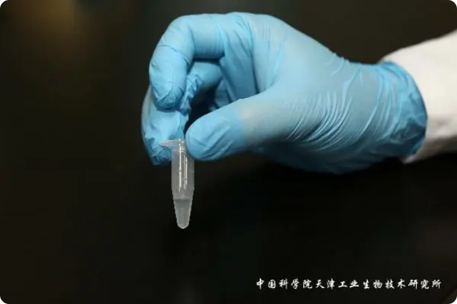 二氧化碳“變身”糖，中國科學(xué)家實(shí)現(xiàn)重大突破!