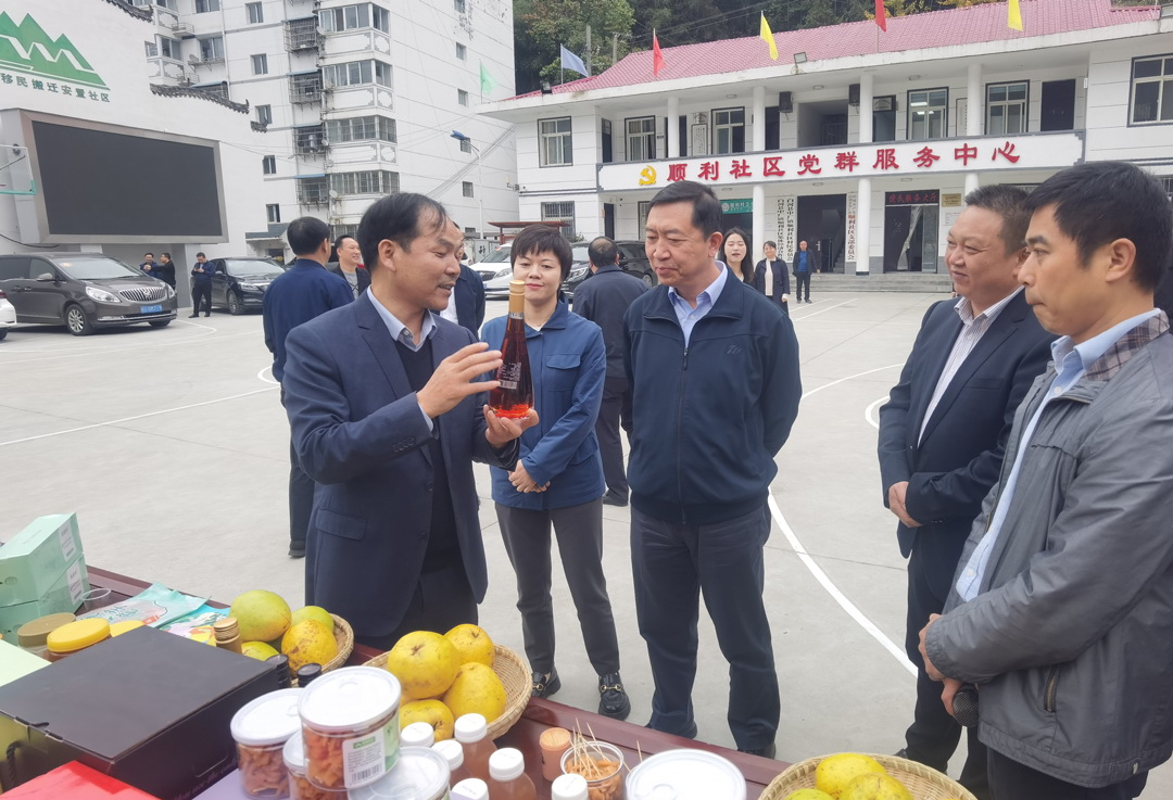 中核集團(tuán)總經(jīng)理、黨組副書記顧軍赴陜西白河、旬陽(yáng)調(diào)研鄉(xiāng)村振興工作
