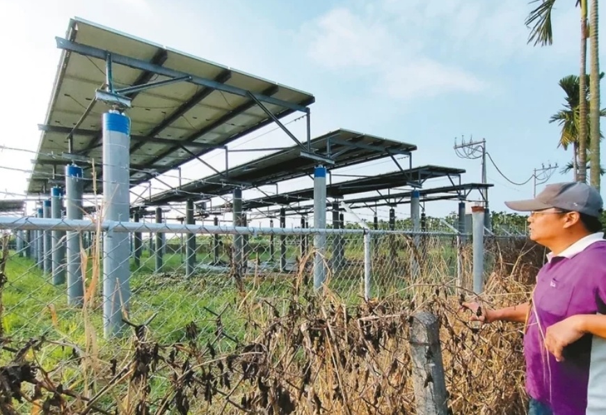 臺媒：農(nóng)田“種電”讓農(nóng)民苦不堪言，島內(nèi)面臨農(nóng)電兩失困境