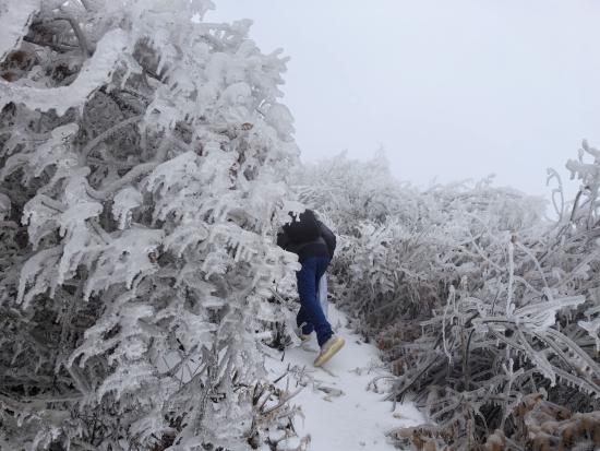 【新春走基層】迎雪而上攻堅行，奮戰(zhàn)不息護(hù)光明