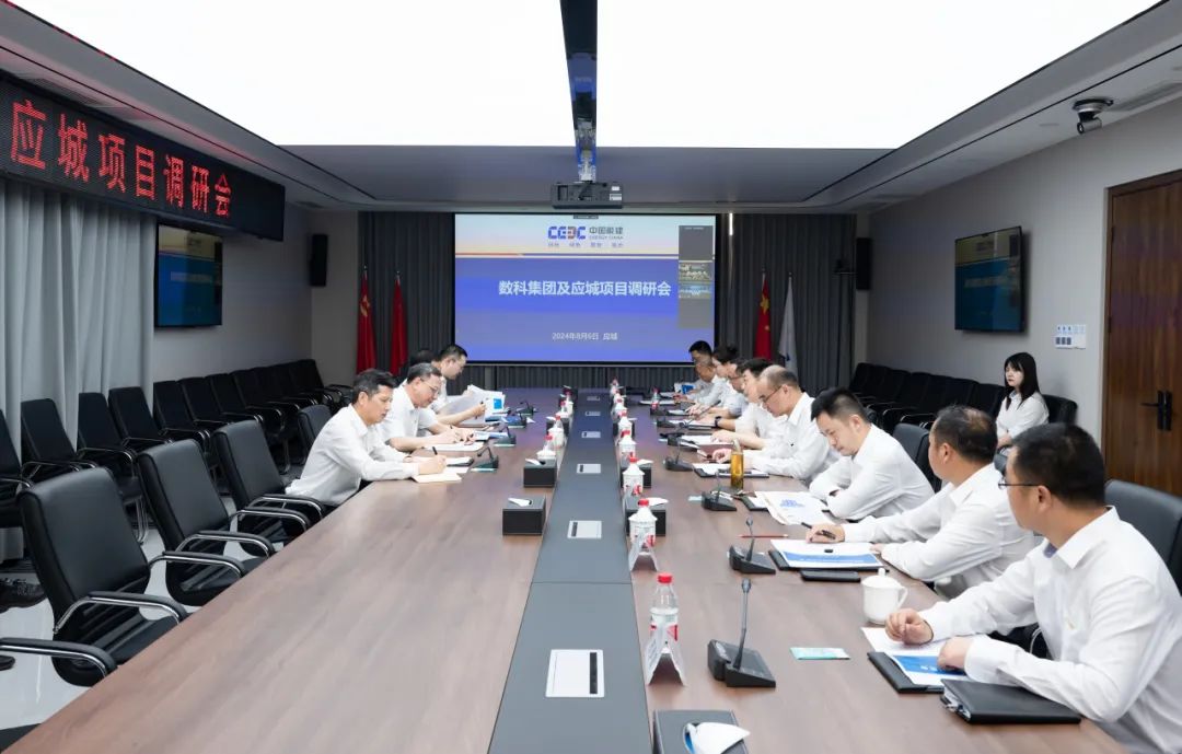 中國能建黨委副書記、總經理倪真調研湖北應城300兆瓦壓氣儲能項目