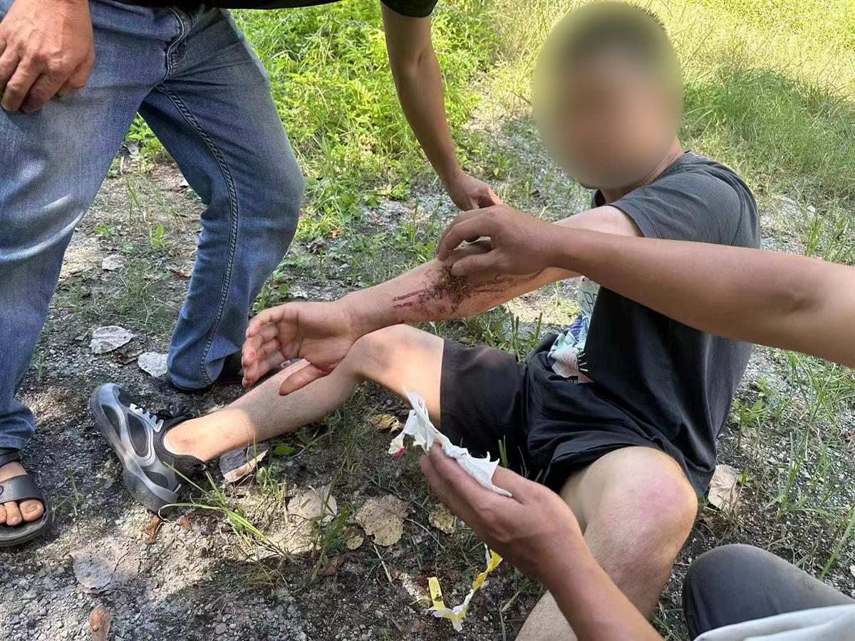 男子私設(shè)電網(wǎng)30余米，沒捕獲獵物卻電傷路人被刑拘