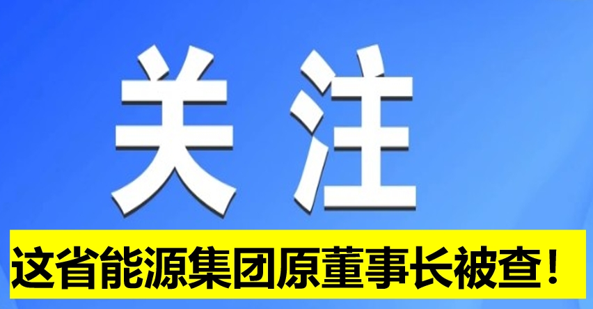 這省能源集團原董事長被查！