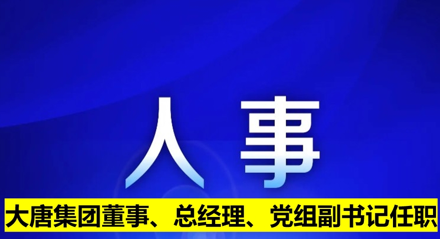大唐集團董事、總經(jīng)理、黨組副書記任職