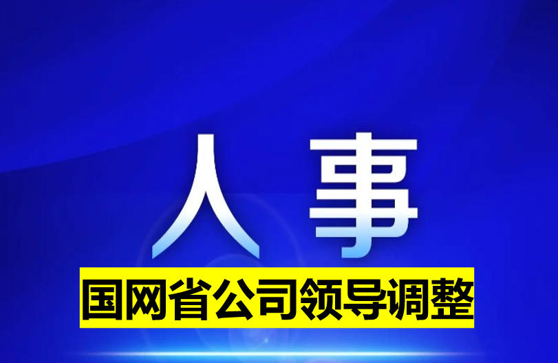 國網(wǎng)省公司領導調整