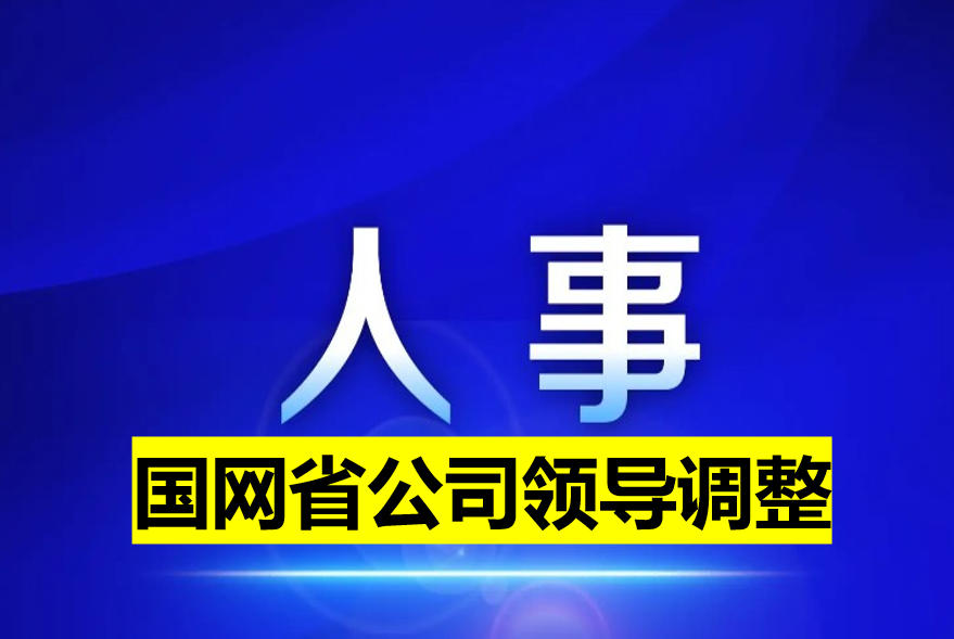 國網(wǎng)省公司領導調整