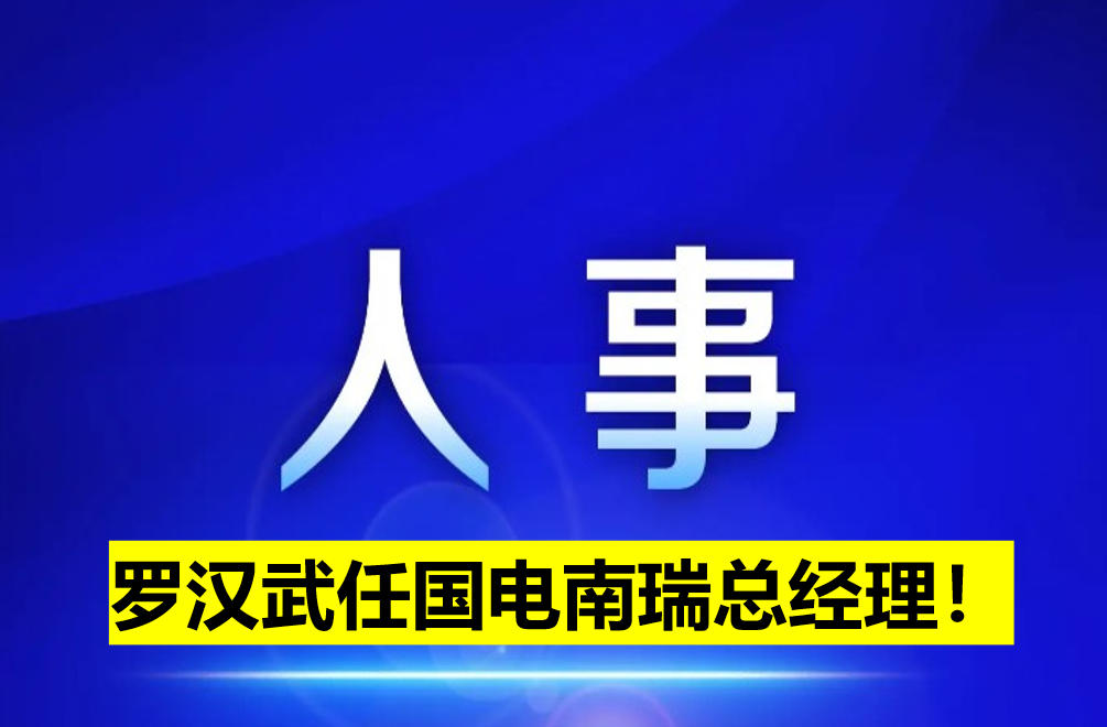 羅漢武任國電南瑞總經(jīng)理！